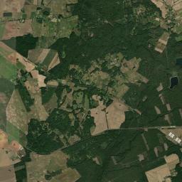 Satelita