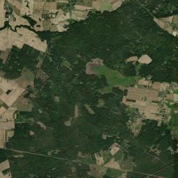 Satelita