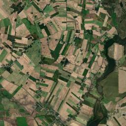 Satelita