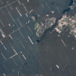 Satelita