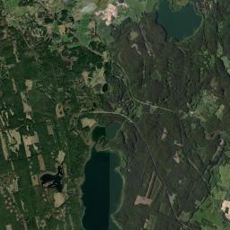 Satelita