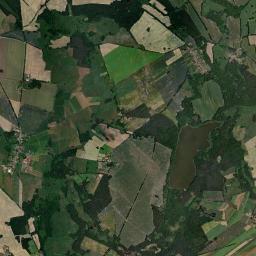 Satelita