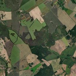 Satelita