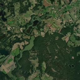Satelita