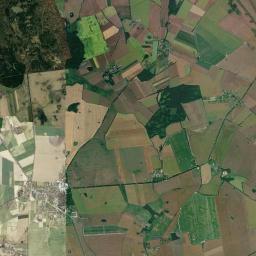 Satelita
