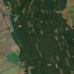 Satelita