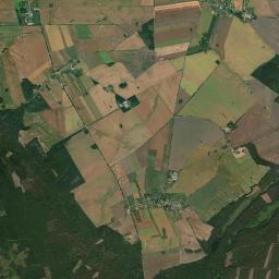Satelita