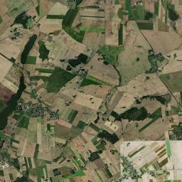 Satelita