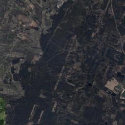 Satelita