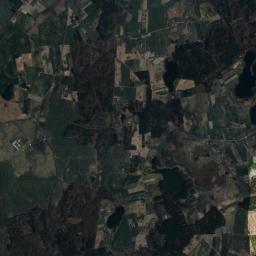 Satelita