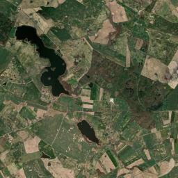 Satelita