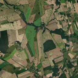 Satelita