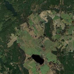 Satelita