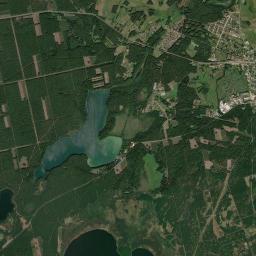 Satelita
