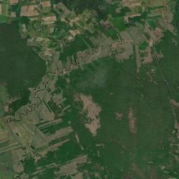 Satelita