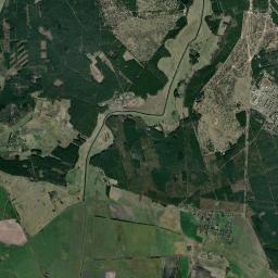 Viereck Satellite Map