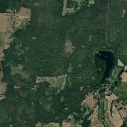 Satelita