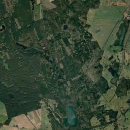 Satelita