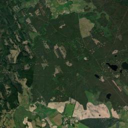 Satelita