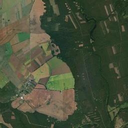 Satelita