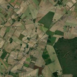 Satelita