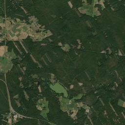 Satelita