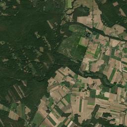 Satelita