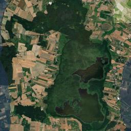 Satelita