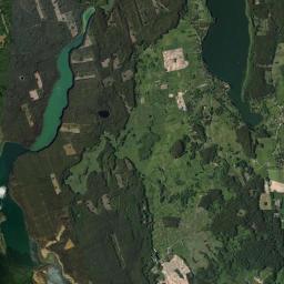Satelita