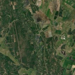 Satelita