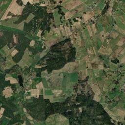 Satelita