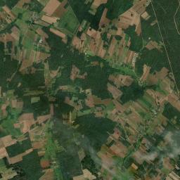 Satelita
