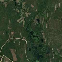 Satelita