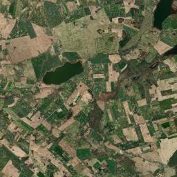 Satelita