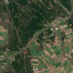 Satelita