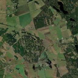 Satelita