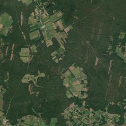 Satelita