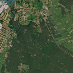 Satelita