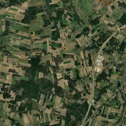 Satelita