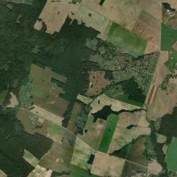 Satelita