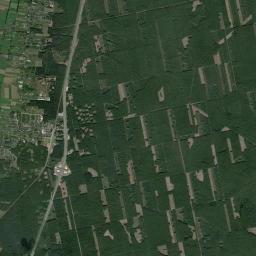Satelita