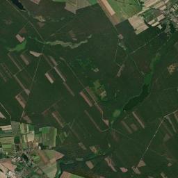 Satelita