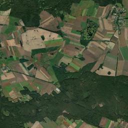 Satelita