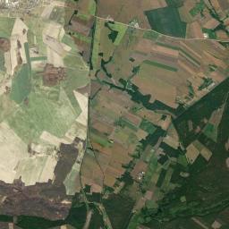 Satelita