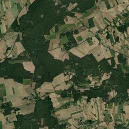 Satelita