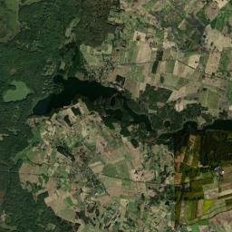 Satelita