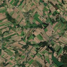 Satelita