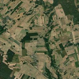 Satelita