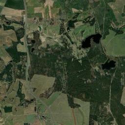 Satelita