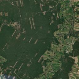 Satelita
